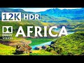 Cinematic 12K HDR 60fps AFRICA Dolby Vision®