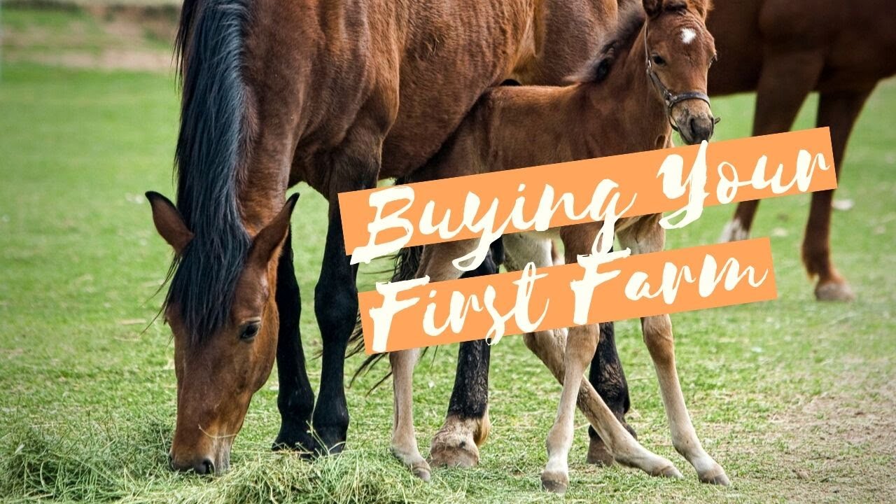 Buying Your First Farm