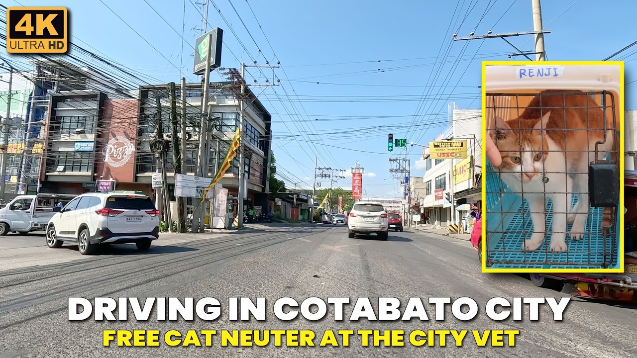 Wednesday Morning Drive from the City Veterinary Office | Free Cat Neuter (Kapon) at the City Vet