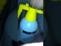 Как избавиться от плесени.