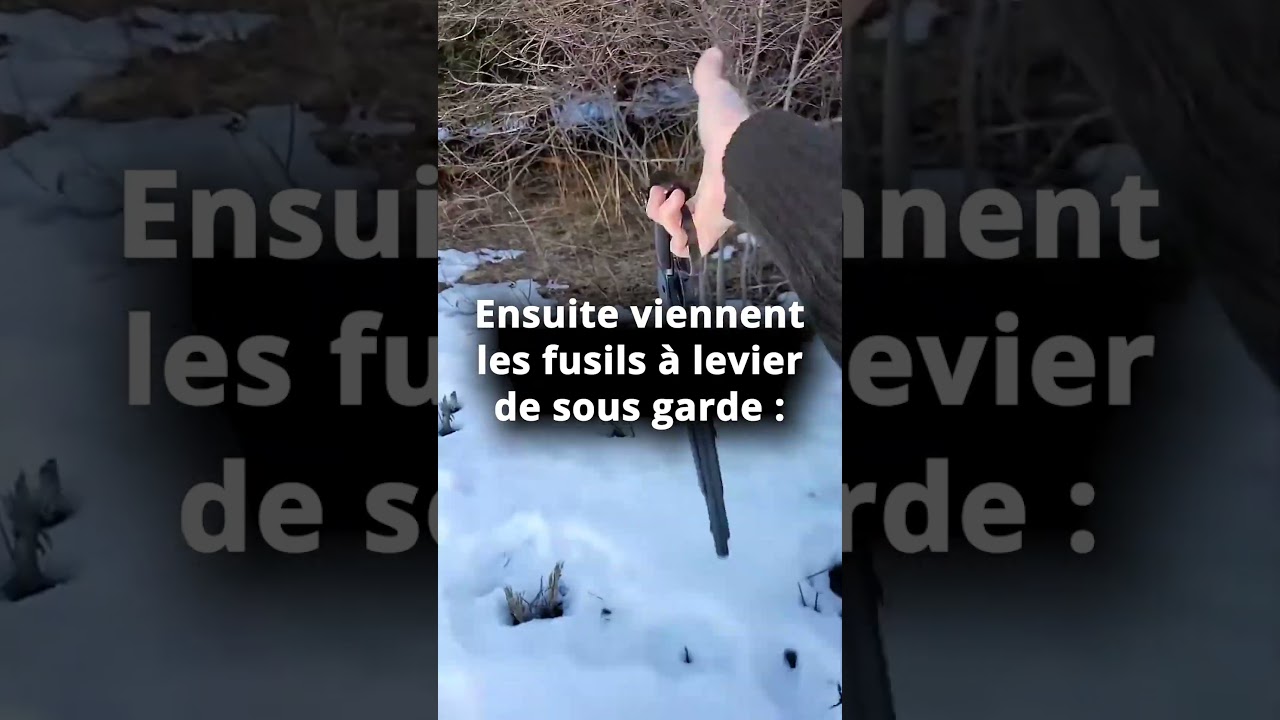 Quel est le meilleur système pour un fusil de chasse en calibre 12 ?