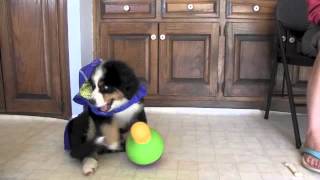 Uncle Henry's raincoat
