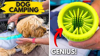14 Must-Pack Dog Camping Essentials (You’re Missing a Few!)