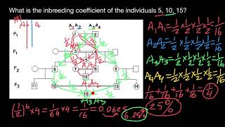 How to calculate Coefficient of Inbreeding