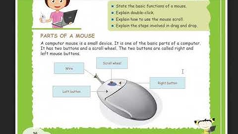 class 2 chapter 5 video More with Mouse