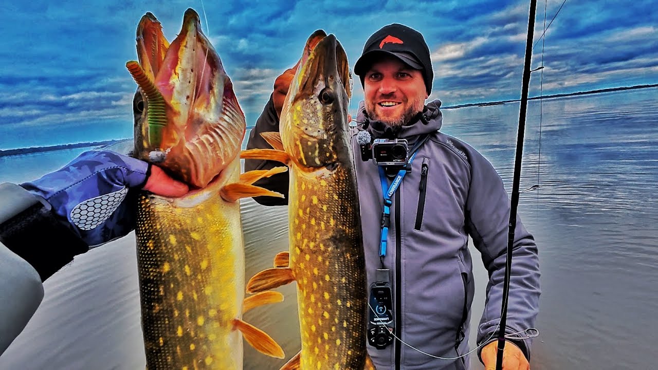 ОСІННІЙ ЖОР ЩУКИ! Ловля Щуки та Судака на Спінінг в Листопаді