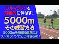 フルマラソンのタイムを飛躍的に伸ばす5000m！その練習方法とは！5000mを頑張る意味は？フルマラソンにどう活きるの？