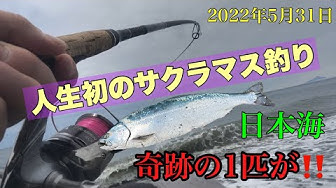 サクラマス Youtube サクラマス Youtube