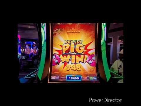 Erhalte den größten Biggerz Casino Bonus für Online-Casino-Spiele in der Schweiz