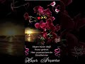 💫 HAYIRLI 🌸 Akşamlar🌸🏵️💮🌸...