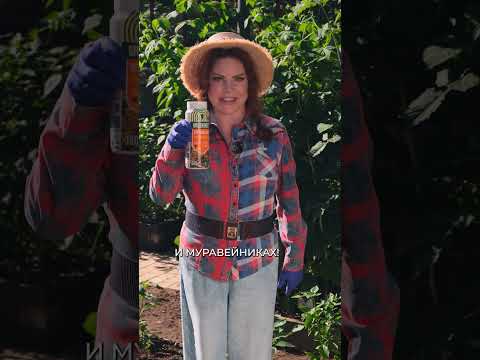 МУРАВЬИН от Green Belt от муравьев на грядках. Инструкция по применению. МУРАВЬИН от Green Belt от муравьев на грядках. Инструкция по применению.