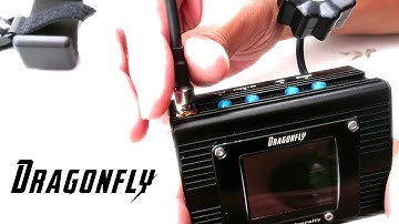 test Dragonfly 48CH Battle Diversity Receiver