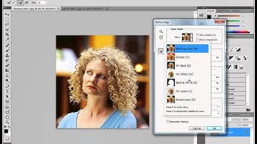 Photoshop CS 5 Refine Edges