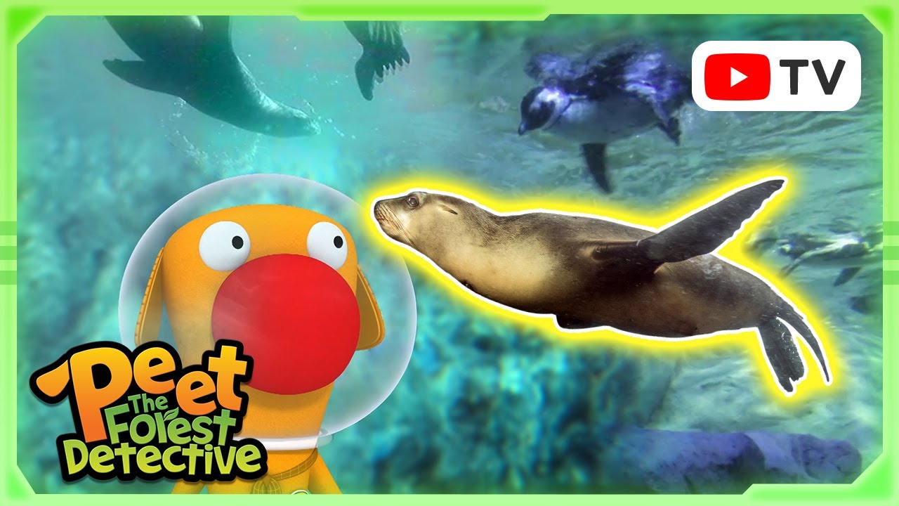 Who’s Swimming in the Forest Waters? 🌊🔍 | Nature Stories For Kids | Peet The Forest Detective