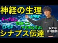 超絶よくわかる!!神経の生理⑩ シナプス伝達 EPSP IPSP ドーパミン グリシン【解剖生理学53】