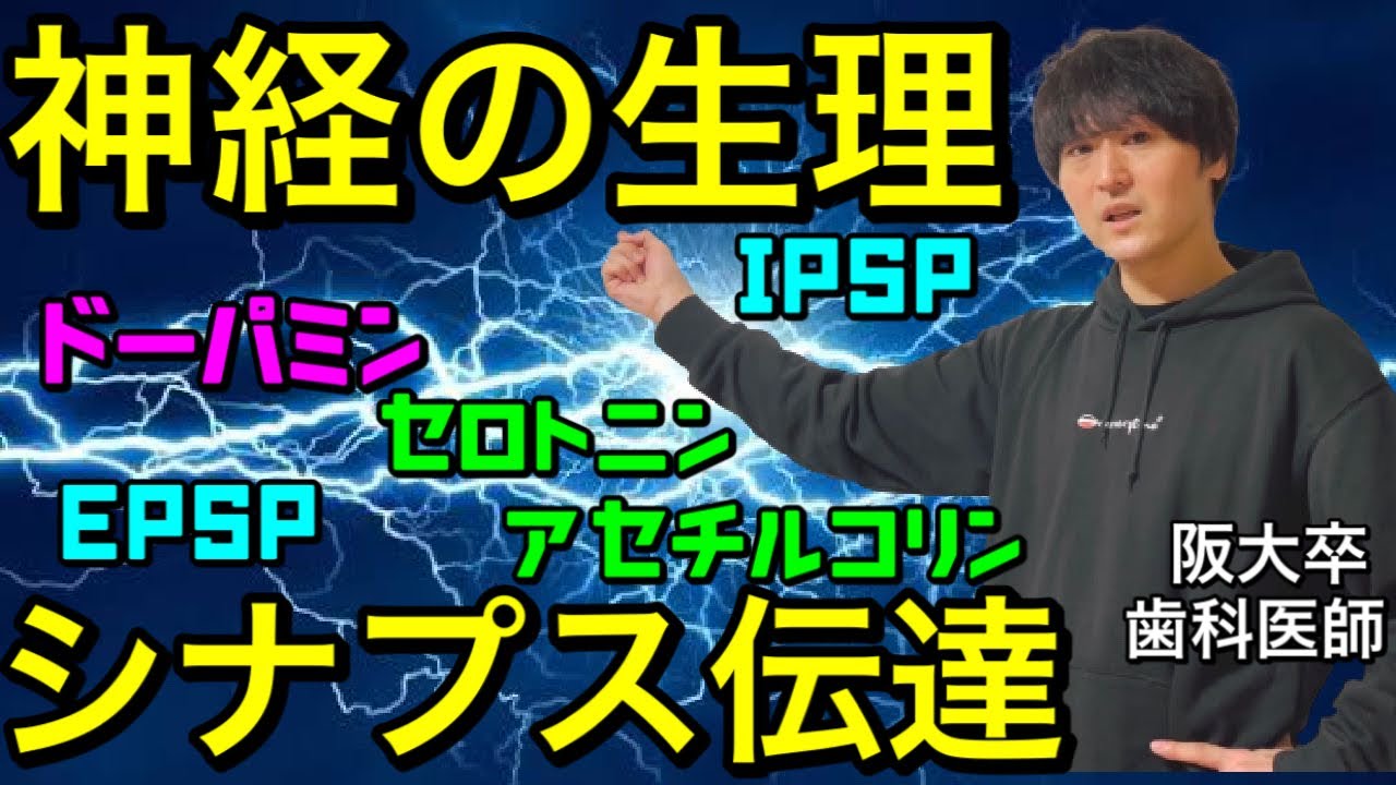 超絶よくわかる！！神経の生理⑩ シナプス伝達 EPSP IPSP ドーパミン グリシン【解剖生理学53】