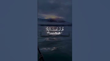 تلاوه طيبه للقارئ| سعيد الخطيب 🌱 #quran