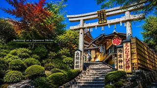 Relaxing at a Japanese Shrine ⛩️ Summer Ambience | Cicadas & Wind Chimes | 5 Hours screenshot 1