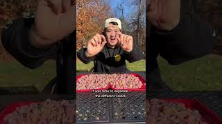 Celebrity Giant Arizona Sour Gummies!? Net Worth