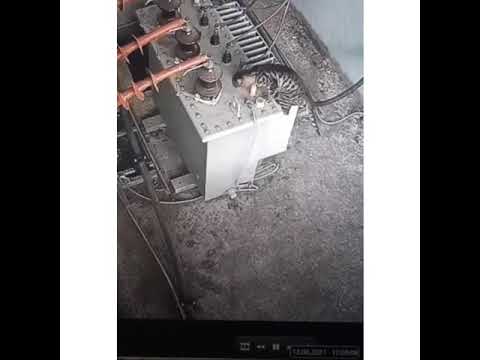 ვიდეო: ელექტროშოკის დაზიანება კატებში
