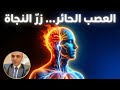 أقوى 10 تقنيات ت عيد تشغيل العصب الحائر خلال دقائق بث عملي مباشر 