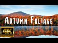 4K Beautiful Autumn Nature Foliage, Fall Scenery, Fall Foliage, Autumn Leaves, Autumn Drone Footage