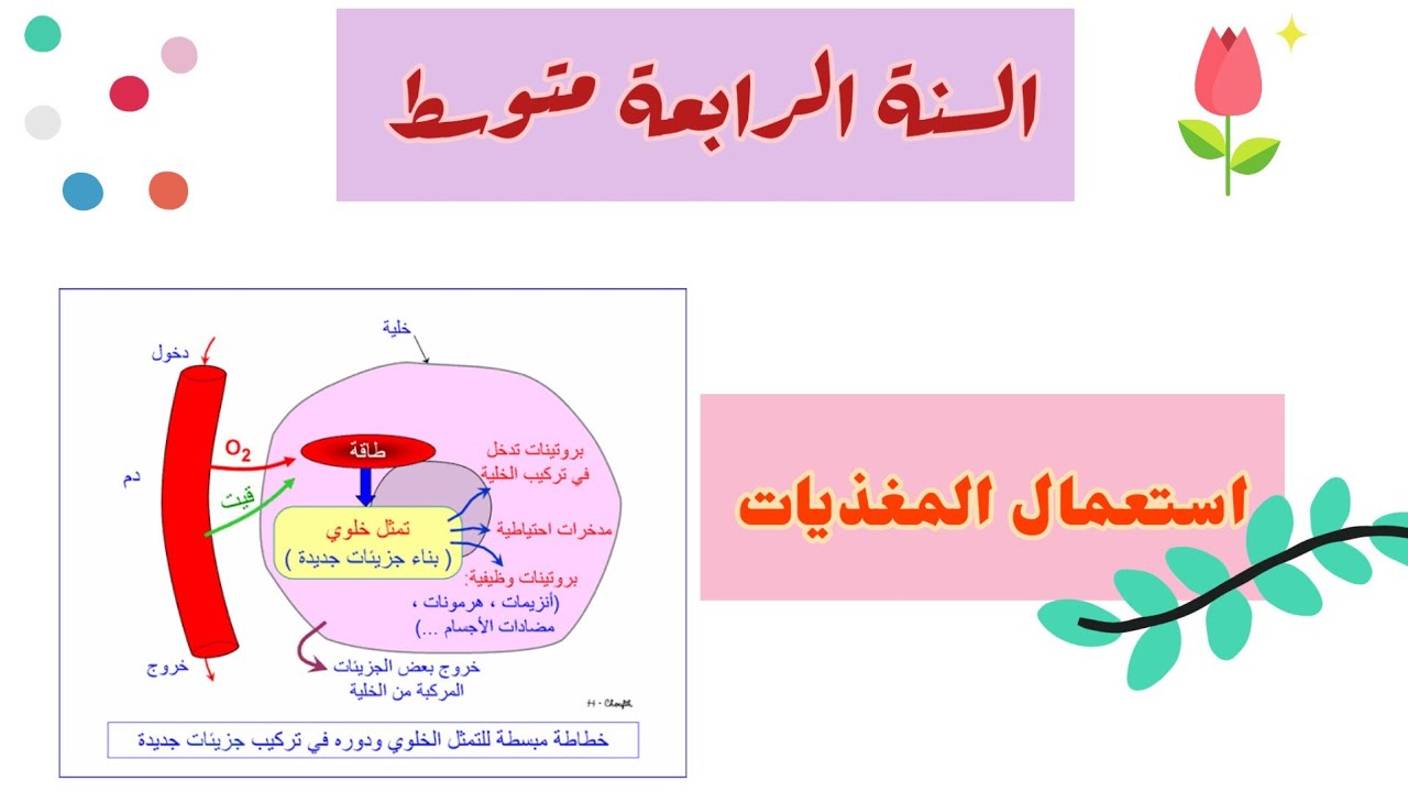 إستعمال المغذيات :السنة الرابعة متوسط