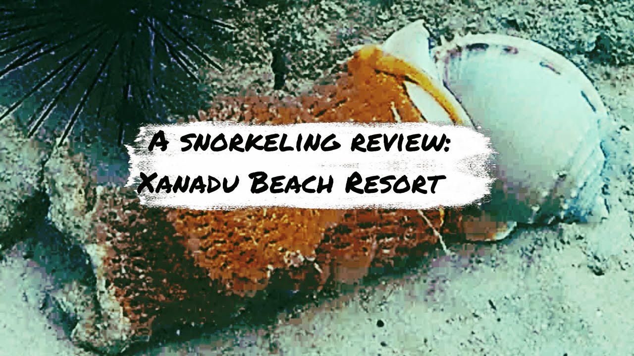 Snorkeling at Xanadu Beach: Koh Larn, Pattaya