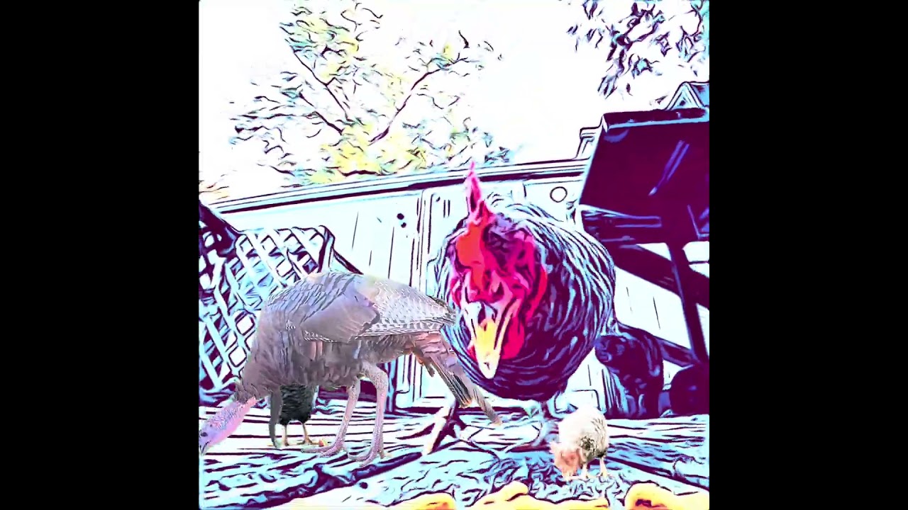 Very🐓Odd Chickens ▢ 4K HDR 