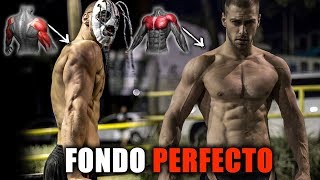 ¿Como Hacer los Fondos Correctamente? El Mejor Ejercicio para TRICEPS