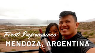 First Impressions of Mendoza, Argentina | Our first Asado! | Sick Airbnb