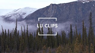 LU Clips - Sam Dubal Disappearance theories