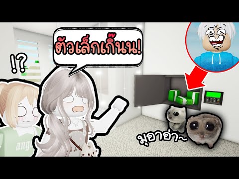 ปลอมตัวเป็นหนูจิ๋วน่ารักสุบๆ 🤏💖🐹ต้วเล็กหาไม่เจอ!😱 Roblox Brookhaven 🏡RP