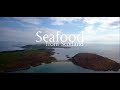 Seafood Scotland Promotional Video