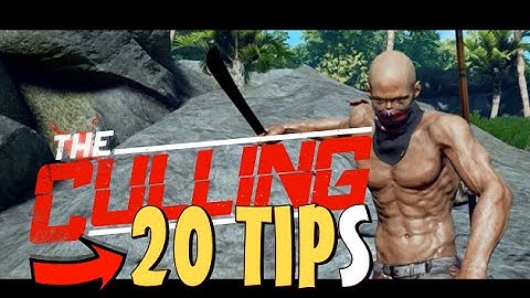 A Culling Guide - 20 Beginner Culling Tips To Help You Suck Less In The Culling!