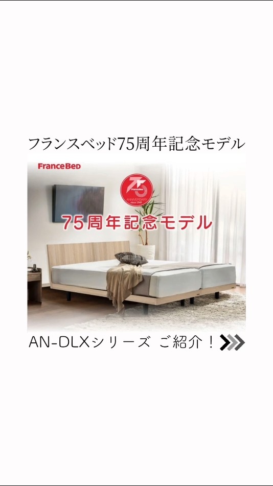 FRANCEBED　マットレスS　AN-DLX Ag フランスベッド75周年記念モデルだから抜群のコスパ！「AN-DLXシリーズ