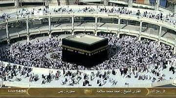 سورة يس ‎ Yas- أحمد سلامة Saudi Quran HD