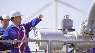 Brussels wants hydrogen to help fuel the future, but can it be done in time to meet climate goals