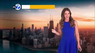 Cheryl Scott ABC 7 5/4/2026