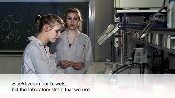 iGEM TU Delft & Science Centre Delft: E.coli