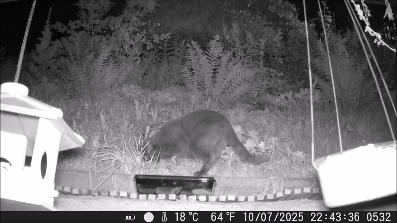 Nachts im Garten Juli'25