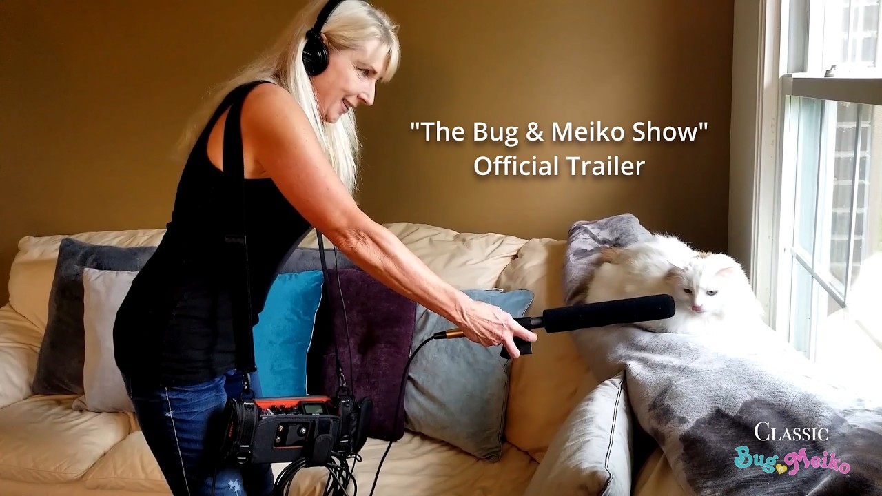 The Bug & Meiko Show