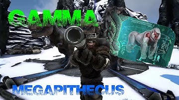 Gamma Megapithecus Boss Fight (No Commentary) | ARK Survival Evolved.