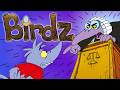 Birdz - Stream Deutsch (LIVE)