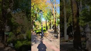 Beautiful Autumn In Sinaia Romania Dimitrie Ghica Park