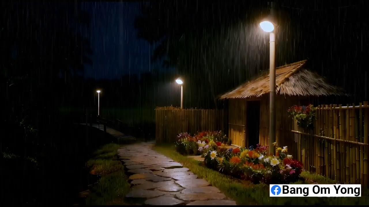 Heavy rain and thunder, peaceful village, small home, sore tenang didesa yang damai