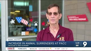 More Tucson families surrendering dogs amid financial struggles