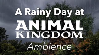 Rainy Day at Animal Kingdom Ambience | Disney World Animal Kingdom Tree of Life Ambience by Cinemagic Park Ambience 98,502 views 3 years ago 1 hour, 20 minutes