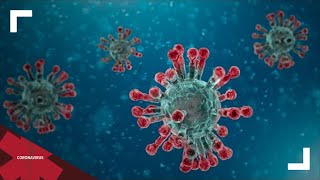Larimer County coronavirus forum
