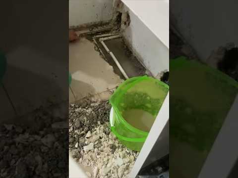 Bu sorunu yaşayan